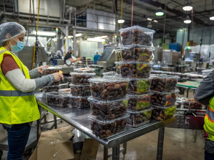 A worker stacking sealed punnets of fruit on a packing bench.